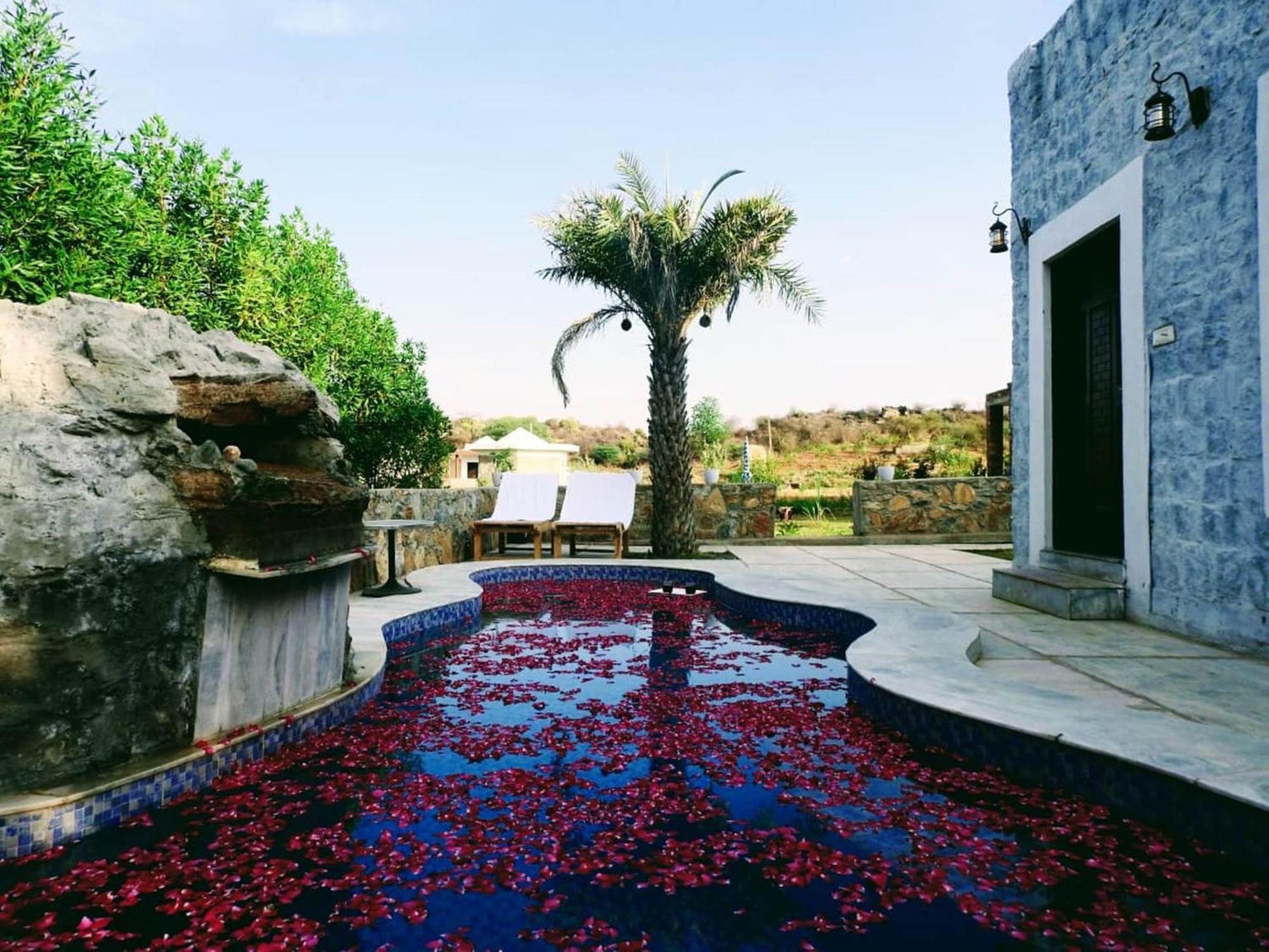 Jawai Wildlife Safari Camp Bed & Breakfast Nana Luaran gambar