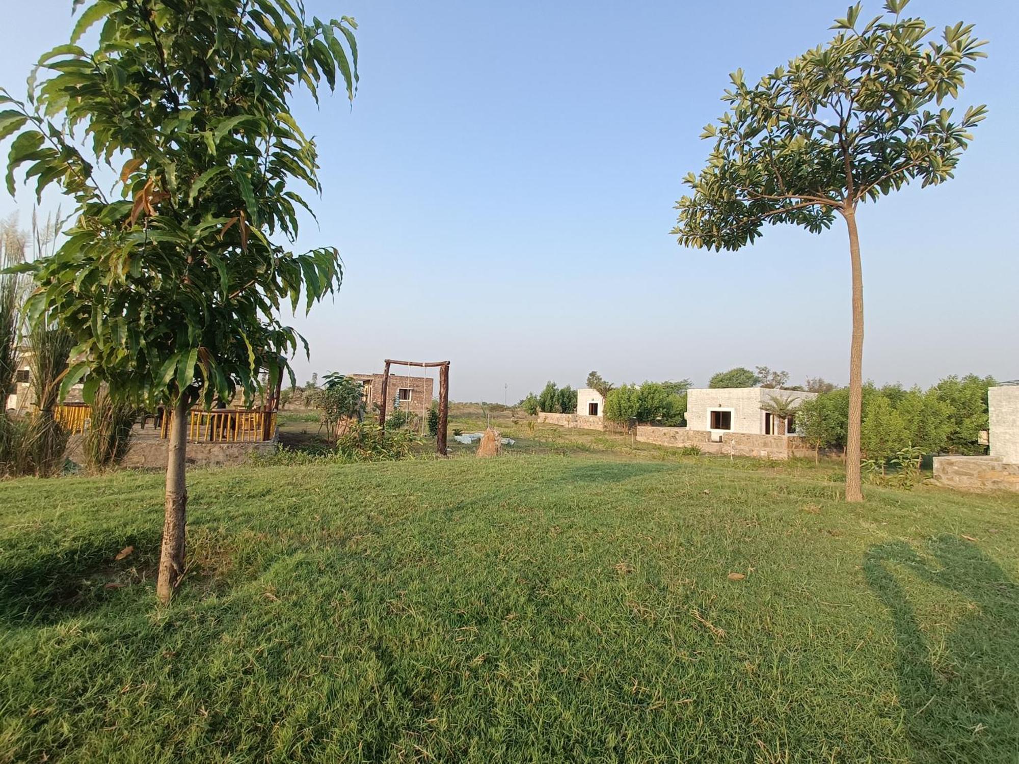 Jawai Wildlife Safari Camp Bed & Breakfast Nana Luaran gambar