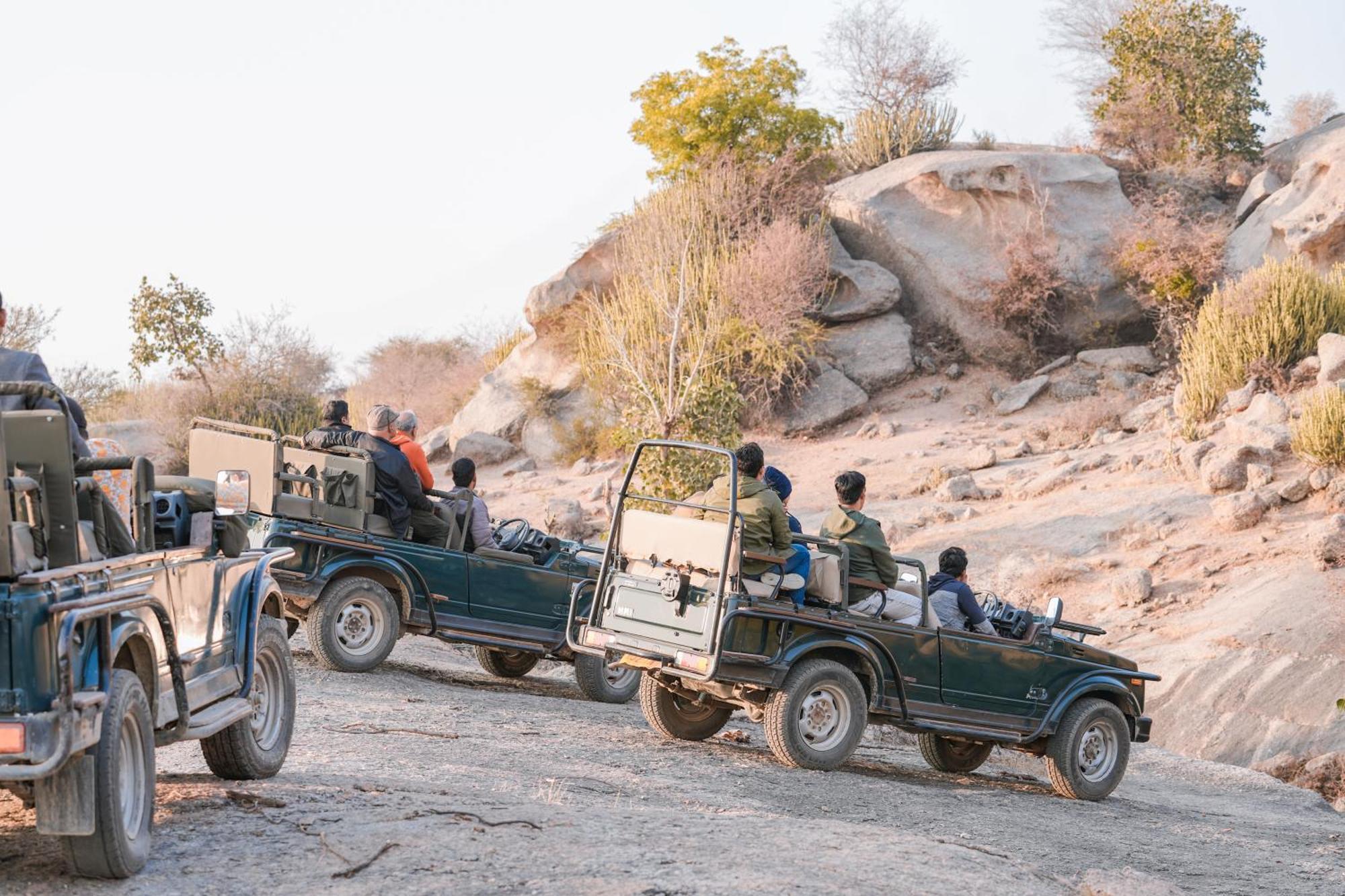Jawai Wildlife Safari Camp Bed & Breakfast Nana Luaran gambar